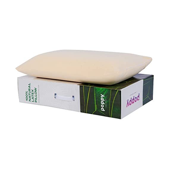 poppy 100% Natural Latex Soap Pillow with Cotton Cover, 26 x 14, Beige - 1 Piece