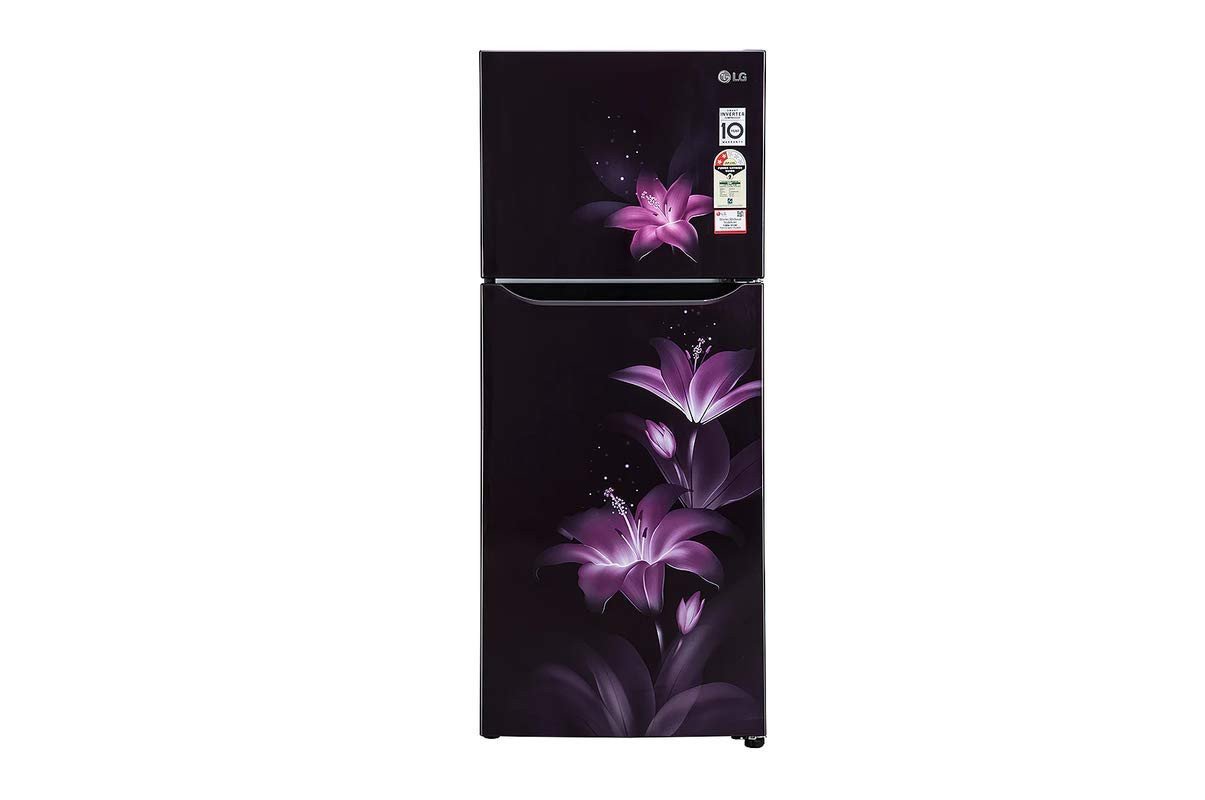 LG 260 L 2 Star Frost Free Double Door Refrigerator