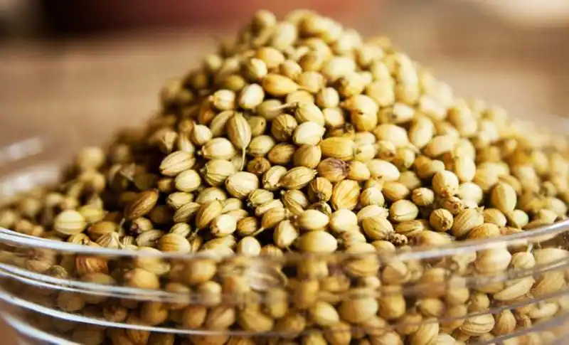 Coriander (மல்லி) - 1Kg